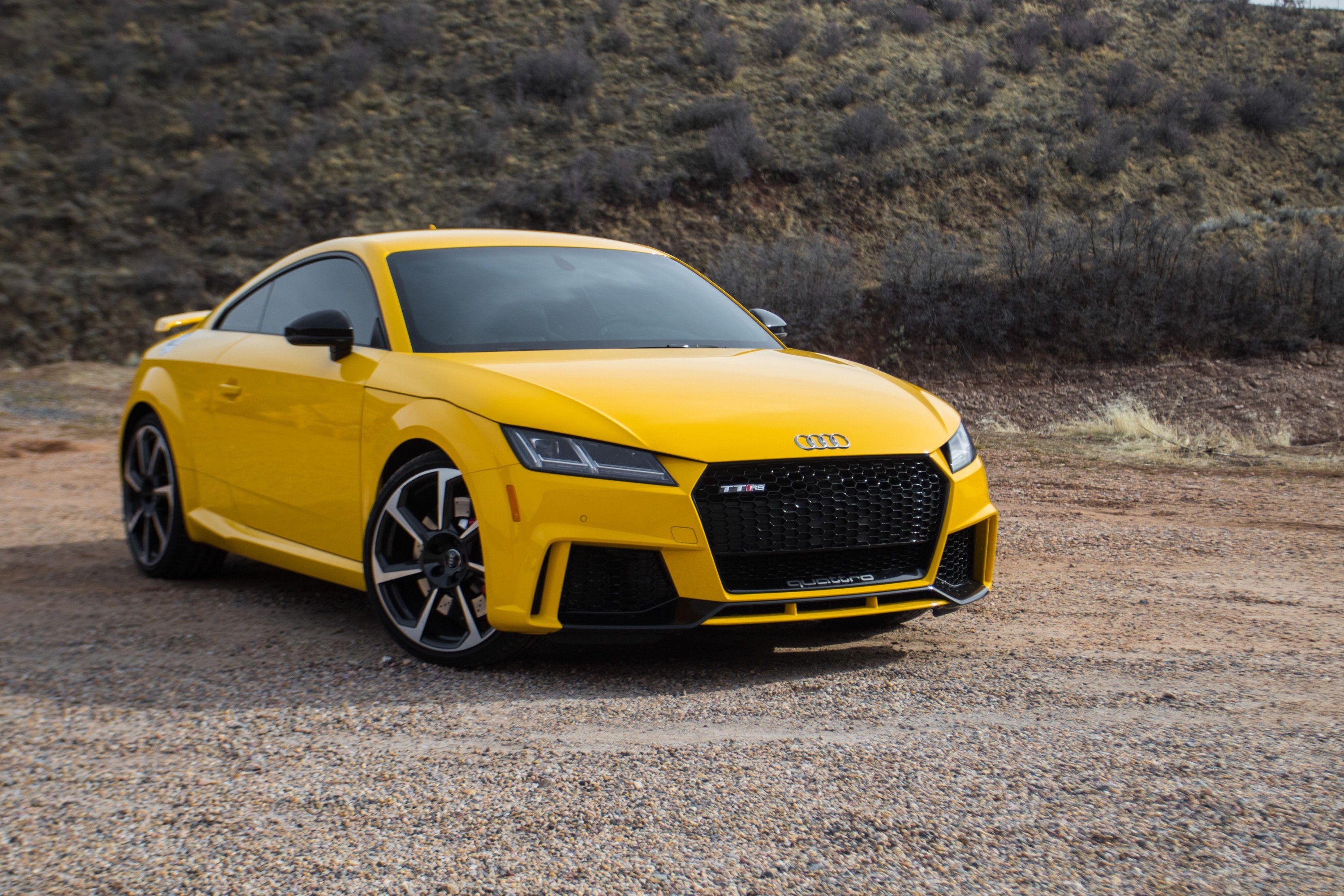 Vegas TT RS