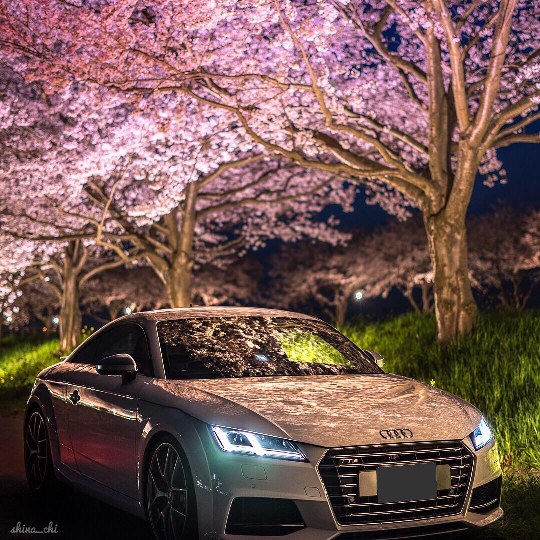 Audi TTS