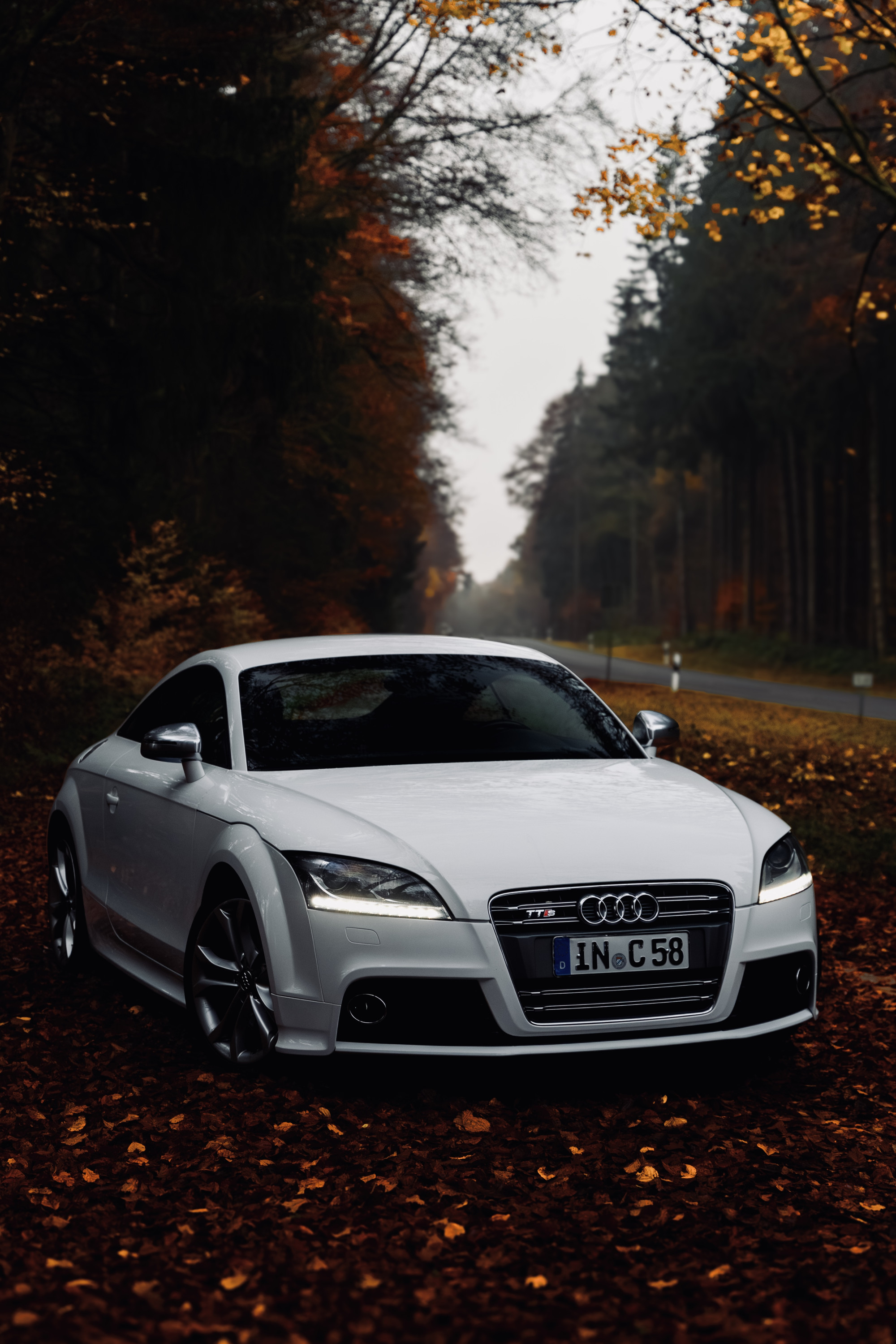 Autumn roads and sleek rides