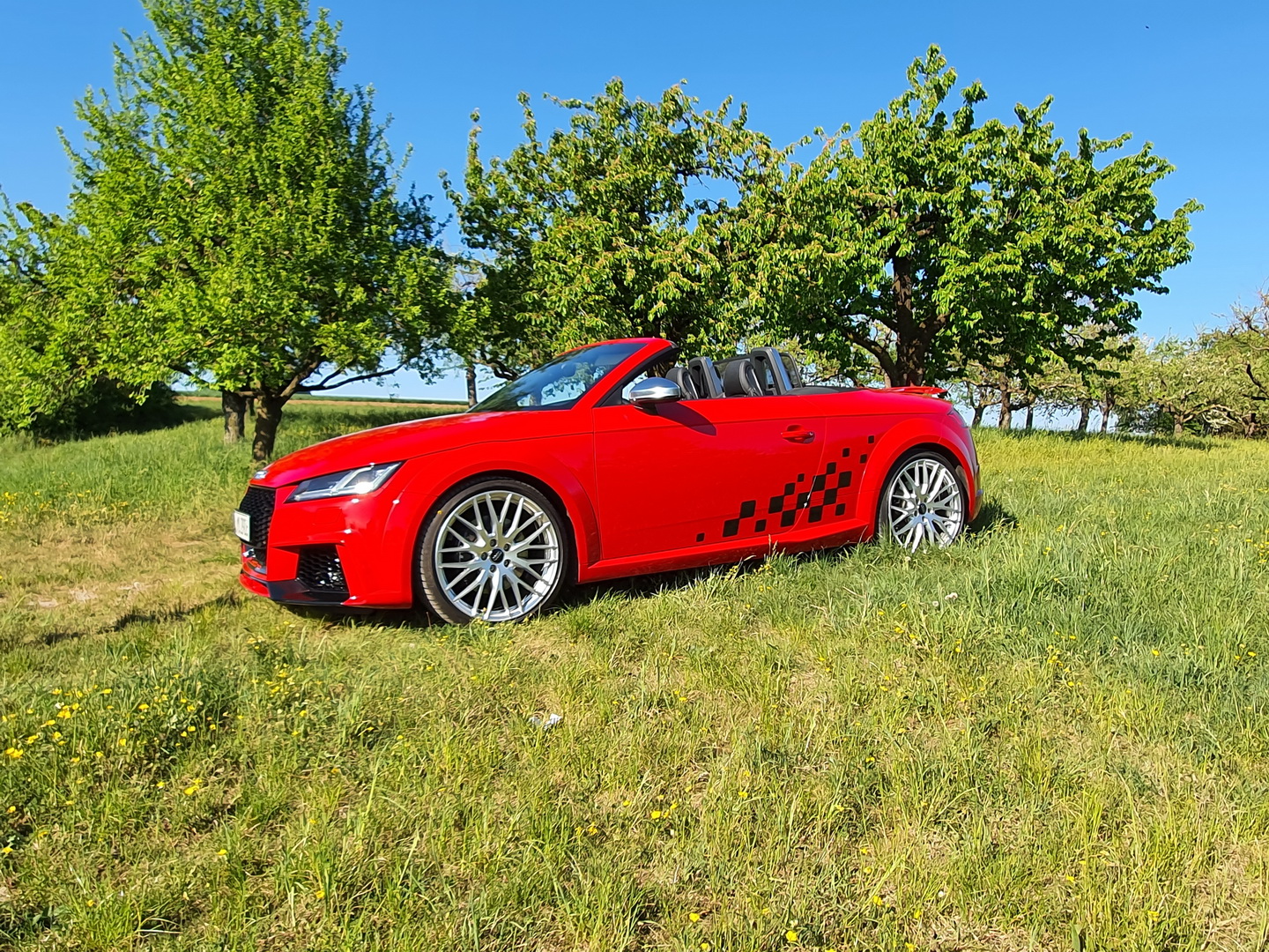 Audi TTs