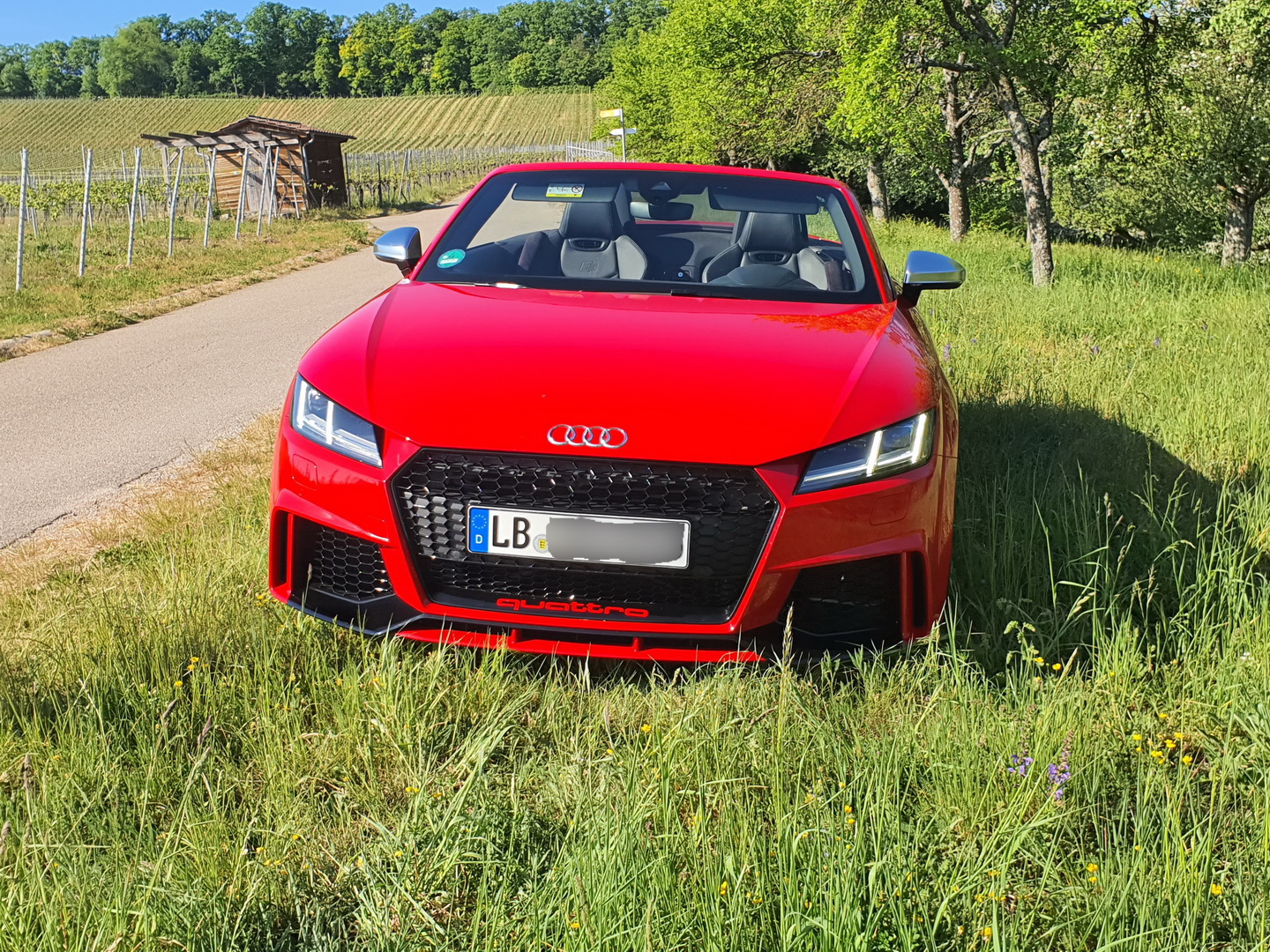 Audi TTs