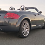 TT Roadster 8n